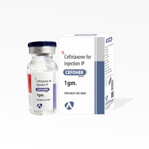 CEFOHEK-1GM INJ